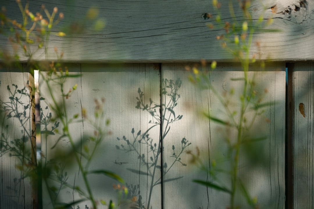 Close-up of condensation on a clean window pane, looking out onto a lush, green, and humid summer landscape, symbolizing the battle against moisture.