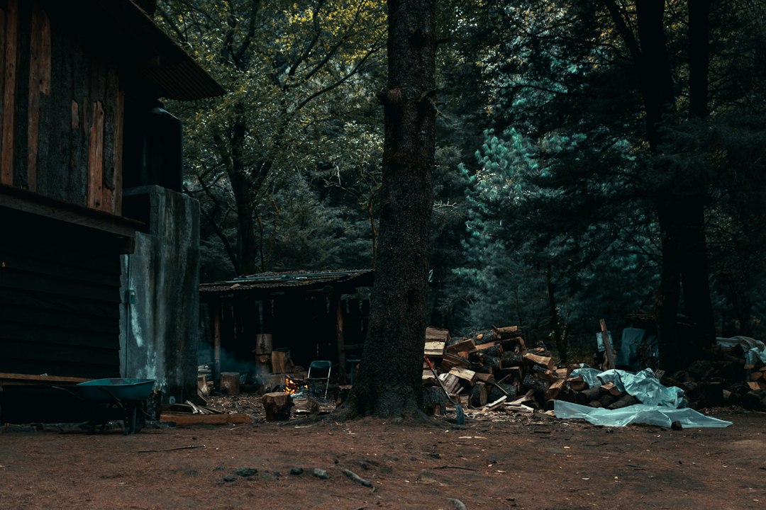 A cozy A-frame cabin nestled among tall pine trees in a forest, suggesting a unique and peaceful vacation rental experience.